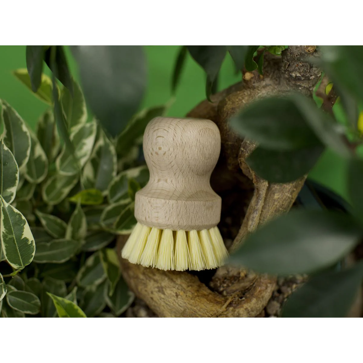 Image du produit 12
