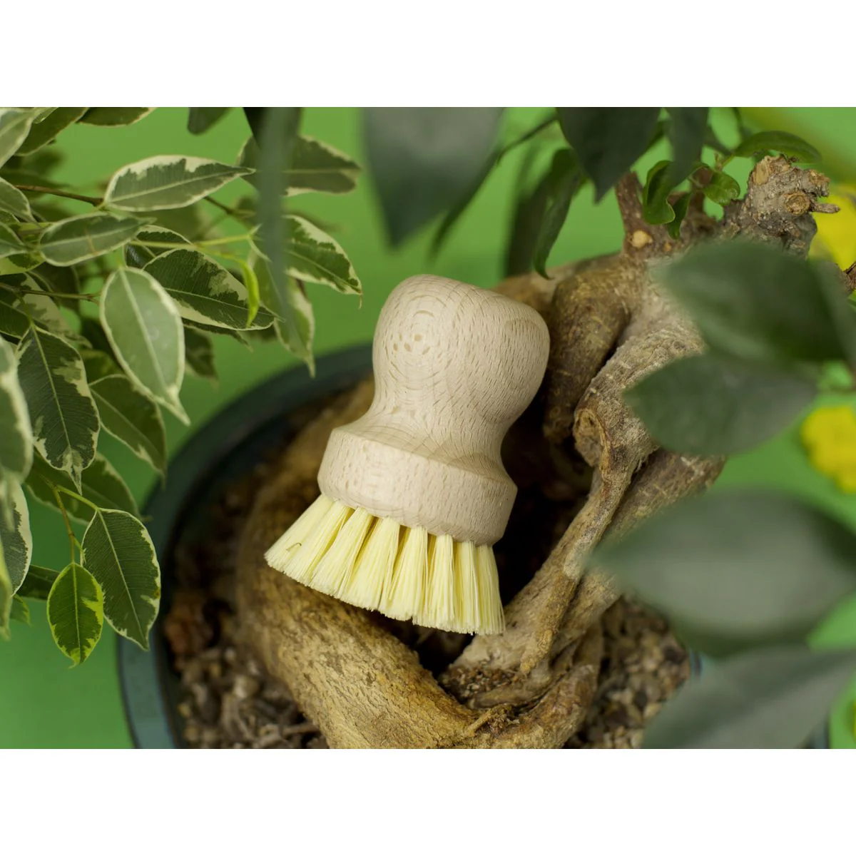 Image du produit 14